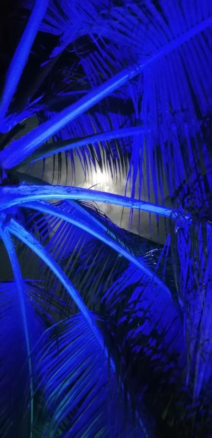 Little Pompeji Boutique Hotel - Adults Only จัมเบียนี ภายนอก รูปภาพ